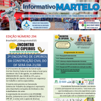 Informativo 294