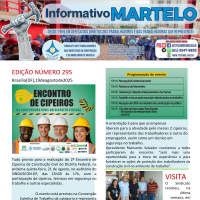 Informativo 295