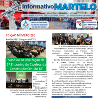 Informativo 296