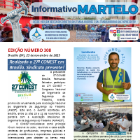 Informativo 308