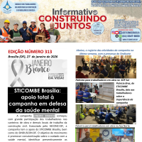 Informativo 313