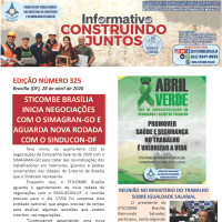Informativo 325