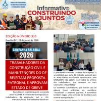 Informativo 333