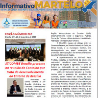 Informativo Nº 262